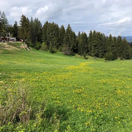 Apartman Topa's Sisava
